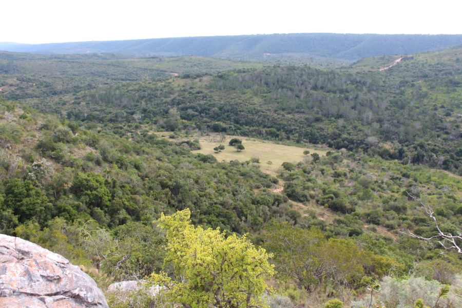 0 Bedroom Property for Sale in Bathurst Eastern Cape